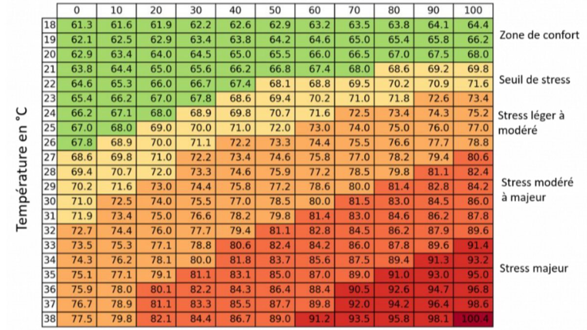 tableau-stress-thermique-bovins