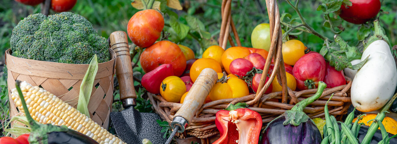 La chute de prix des produits agricoles en février dernier