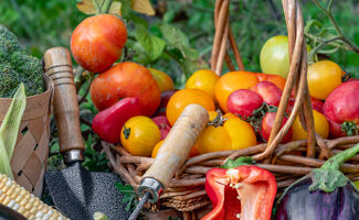 La chute de prix des produits agricoles en février dernier