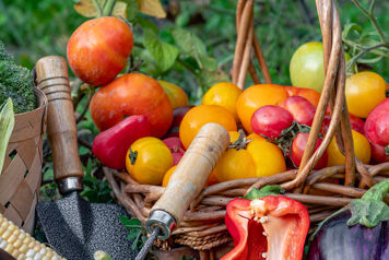 Fruits légumes