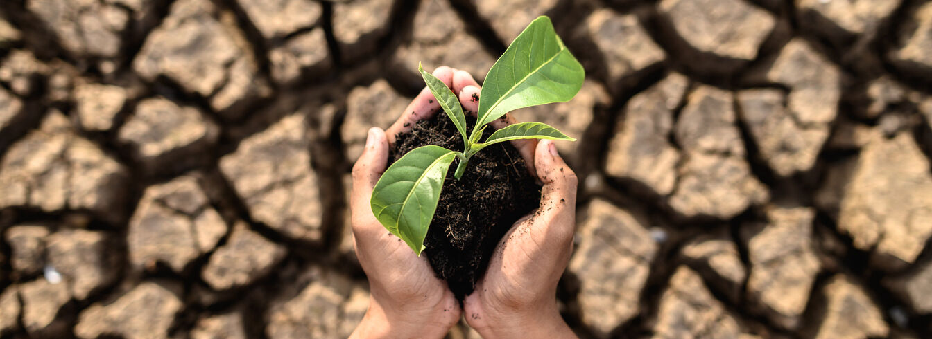 Voici l'estimation du coût de l’adaptation au réchauffement climatique