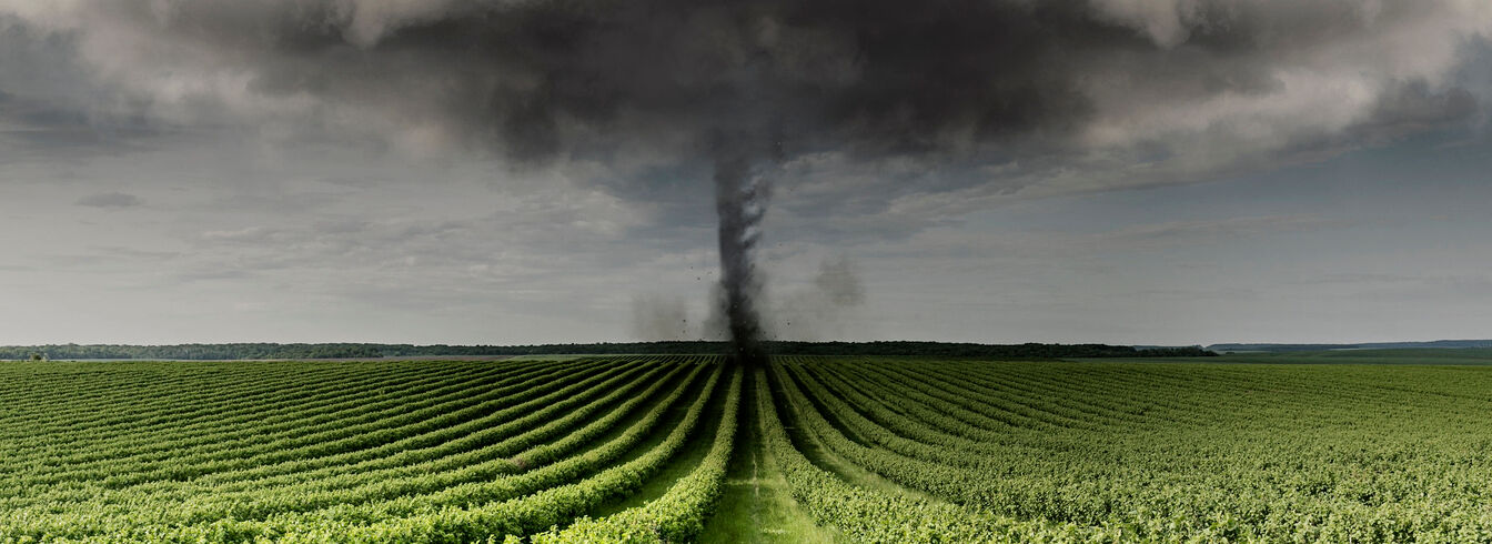 Les cultures agricoles gorgées d’eau