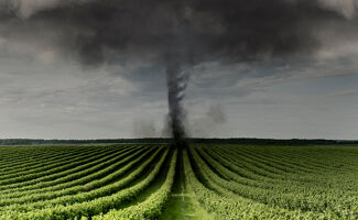 Les cultures agricoles gorgées d’eau