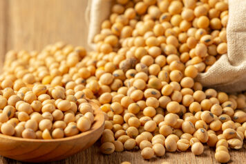 L'expansion de la culture de soja en France