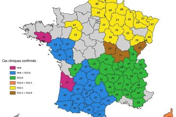 Cartre de propagation des maladies hémorragiques agricole en france en 2024