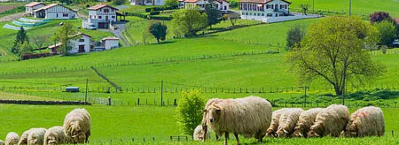 Explosions entendues et fumée noire à Bidart, au Pays Basque