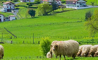 Explosions entendues et fumée noire à Bidart, au Pays Basque