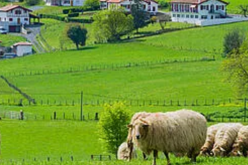 Explosions et fumée noire au Pays Basque