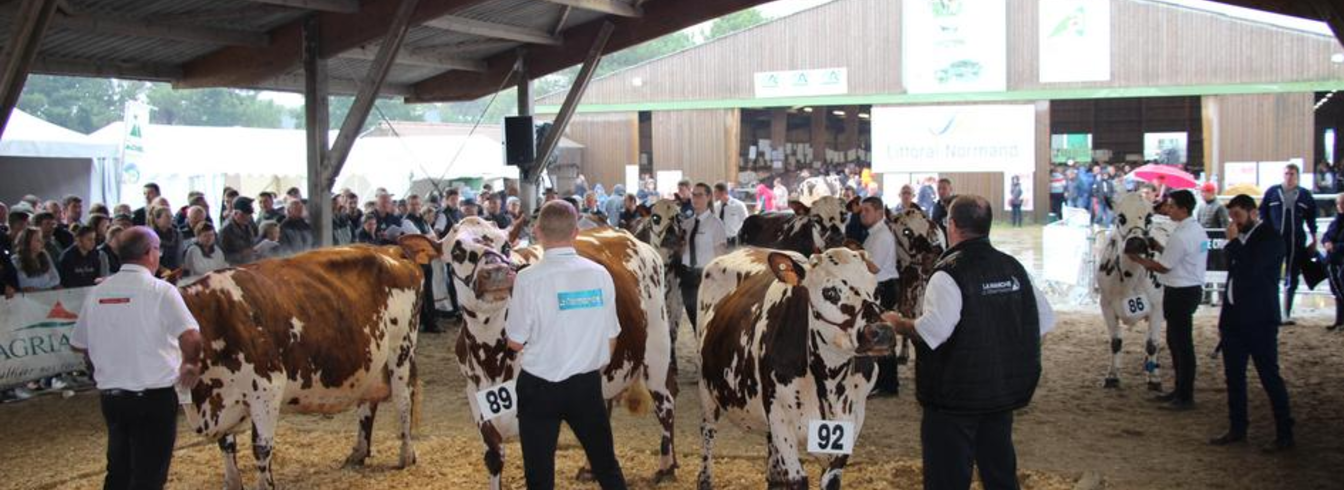 Le Festival de l'élevage vers un renouveau