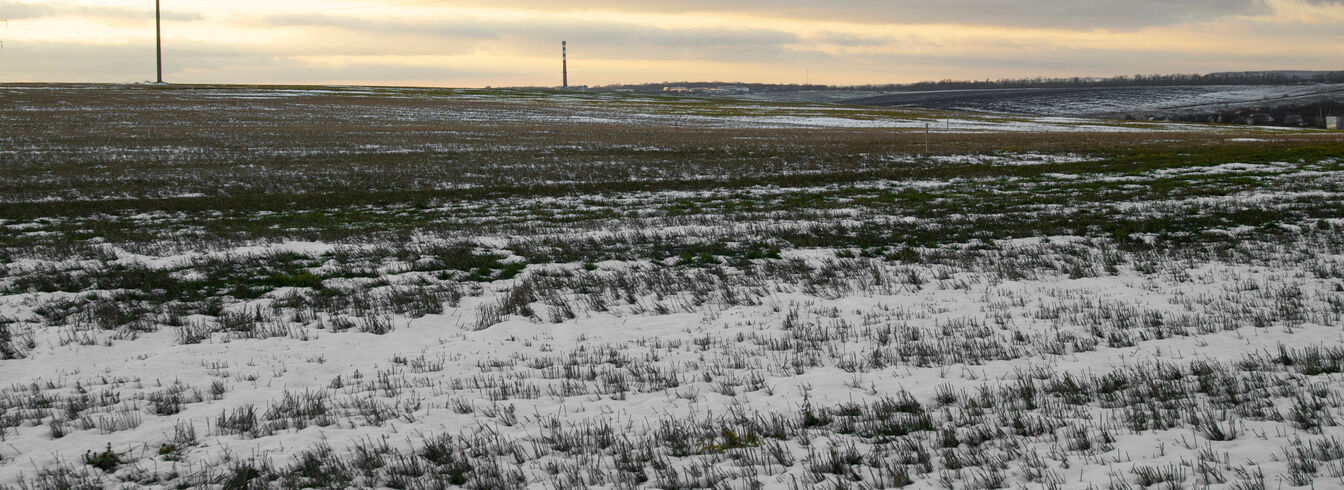 Les gelées blanches menacent les cultures du Var