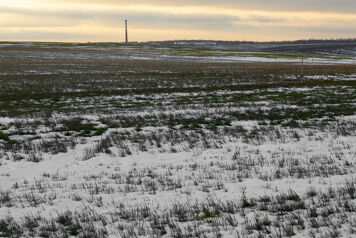 Les gelées blanches dans le Var insuiètent les agriculteurs