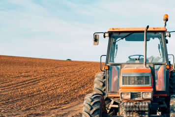 tracteur sur un champ labouré avec des vifnes sur le côté