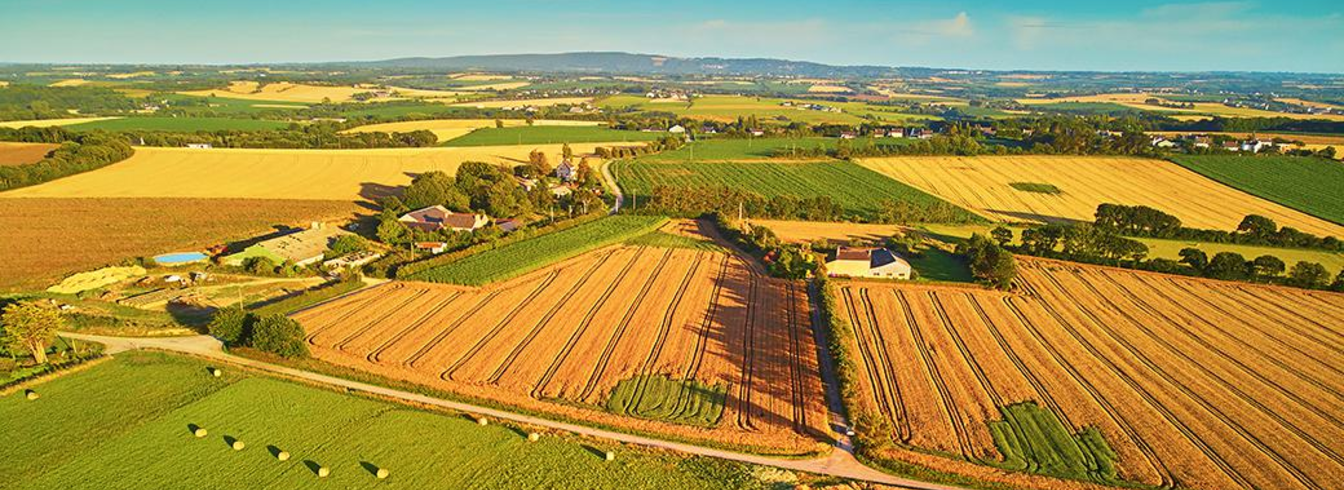 Légère hausse du prix des terres agricoles en 2023 : un avenir « inquiétant »