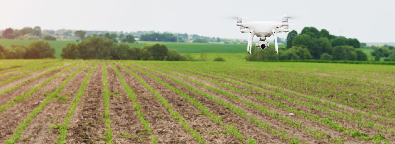 Innovations agricoles pour l'avenir