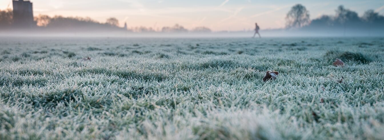 Les agriculteurs se préparent face aux prochaines vagues de froid