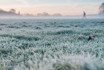 Les agriculteurs se préparent au froid