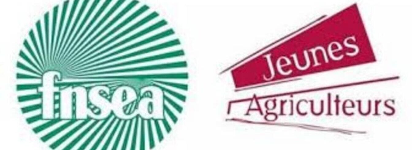 Crise agricole : les agriculteurs expriment leur colère dans les rues dans le Marne, Gers et Tarn-et-Garonne