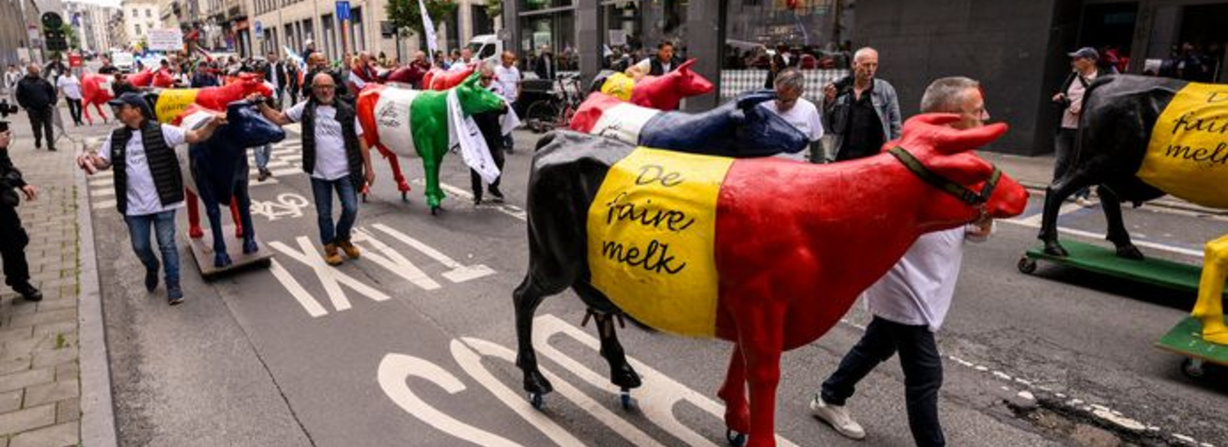 Des agriculteurs venus de toute l'Europe défilent à Bruxelles pour un « revenu juste »
