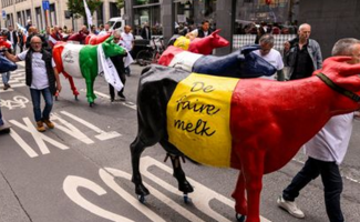 Des agriculteurs venus de toute l'Europe défilent à Bruxelles pour un « revenu juste »