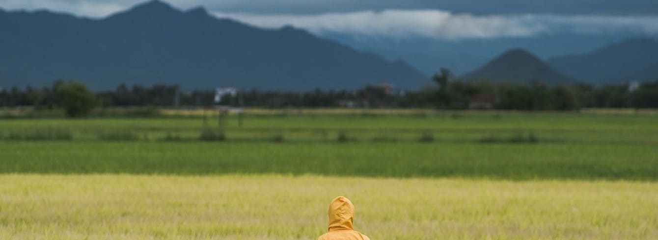 Accord Mercosur : Les agriculteurs français face à une concurrence redoutée