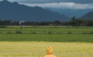 Accord Mercosur : Les agriculteurs français face à une concurrence redoutée