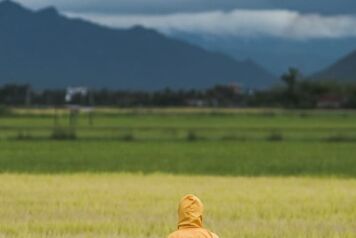 agriculteur au milieu d'un champ face à une montagne