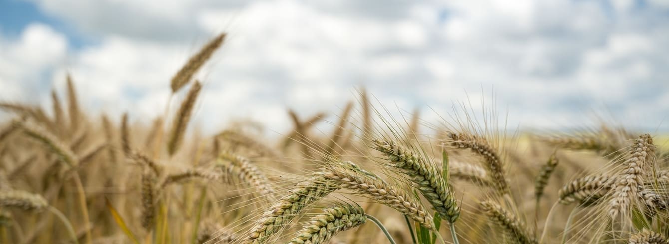 La Commission européenne augmente les aides aux agriculteurs