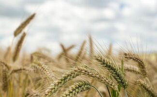 La Commission européenne augmente les aides aux agriculteurs