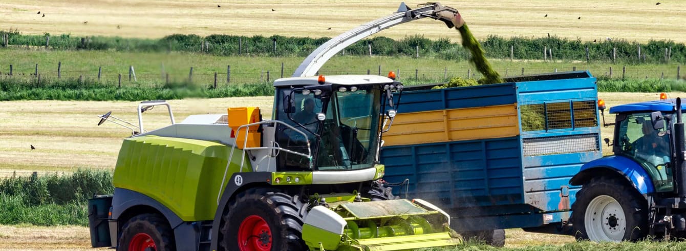 Optimisez vos ensilages avec l'inoculant Pioneer 11XH4