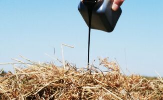 L’aliment liquide en élevage ruminant : une solution efficace et polyvalente