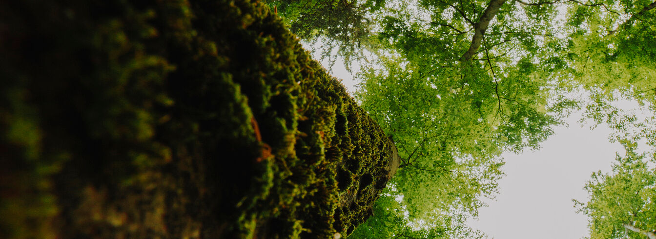 Nouveau concours pour la biodiversité