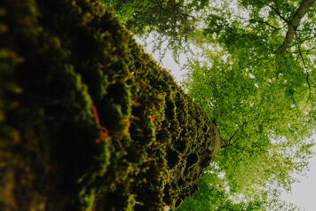 Nouveau concours pour la biodiversité