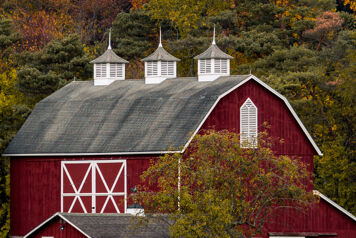 Nouveau réseau de fermes durables en Gironde
