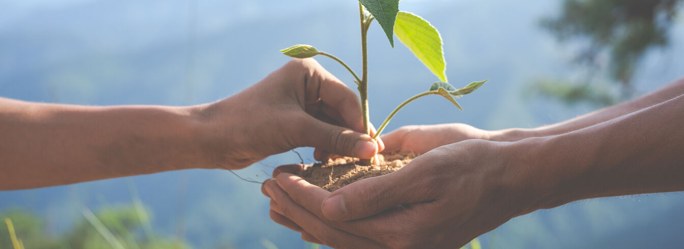 La Métropole d'Orléans propose un nouveau modèle durable en agriculture