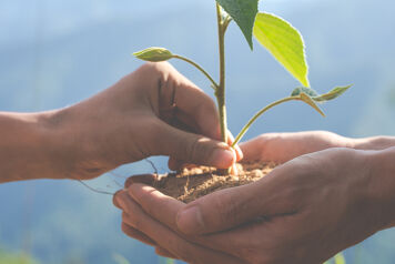 La ville d'Orléans propose une solution durable pour l'agriculture