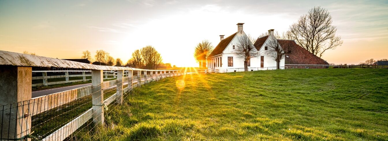 Des visites estivales de fermes gratuites dans le Morbihan