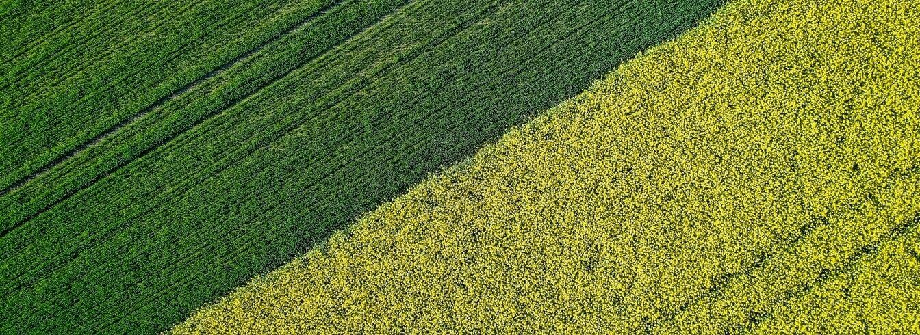 La Région Grand Est au secours de son agriculture : un plan de 9,5 millions d'euros