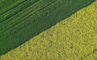 Élections agricoles : Le coup d'envoi officiel de la bataille syndicale