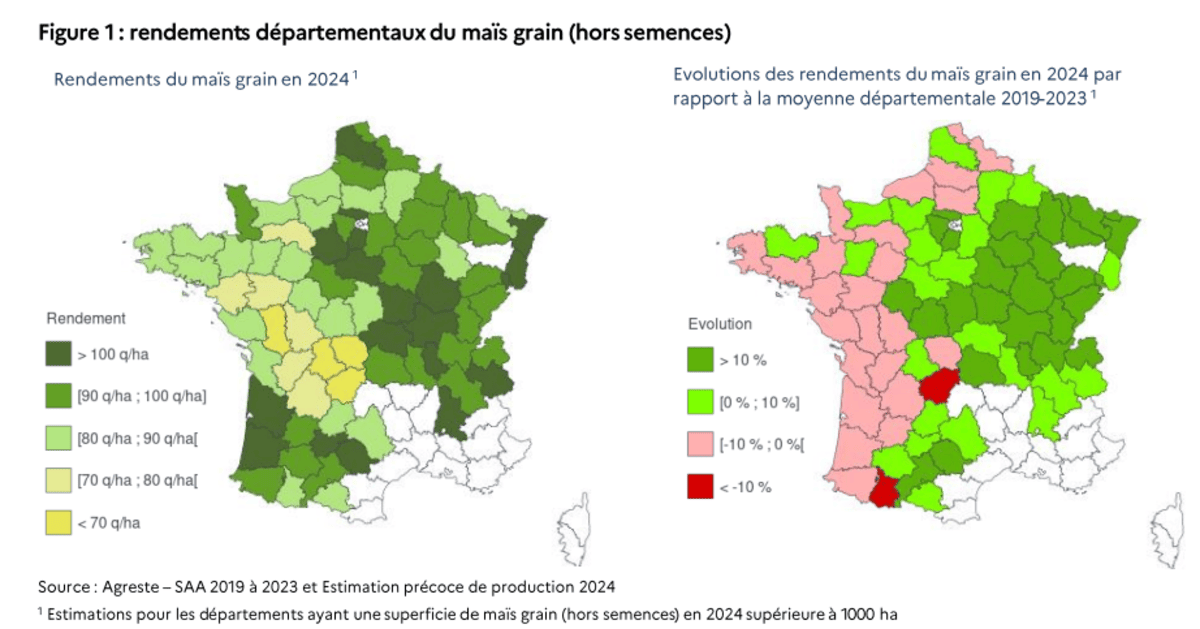 infographie redement par department maïs