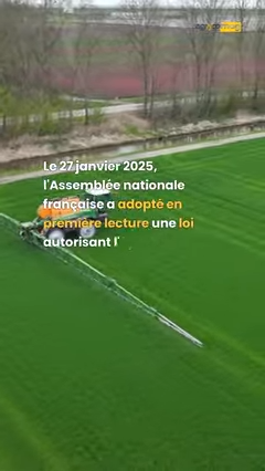 miniature vidéos d'actualités shorts 