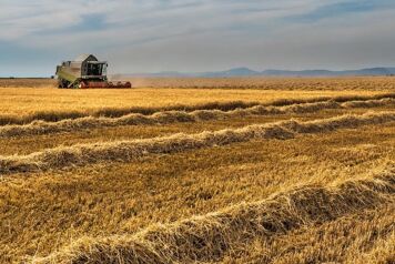 tracteur sur un champ
