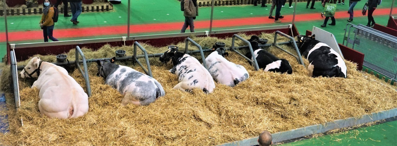 Le premier salon de l'agriculture de Beauvais a cartonné