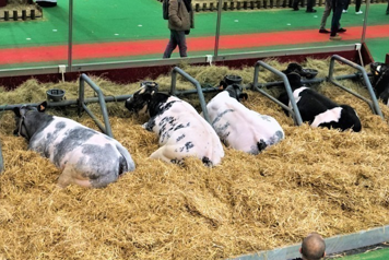 Salon de l'agriculture de Beauvais