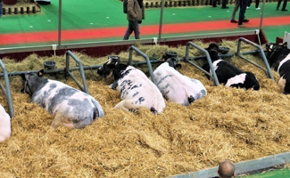 Le premier salon de l'agriculture de Beauvais a cartonné