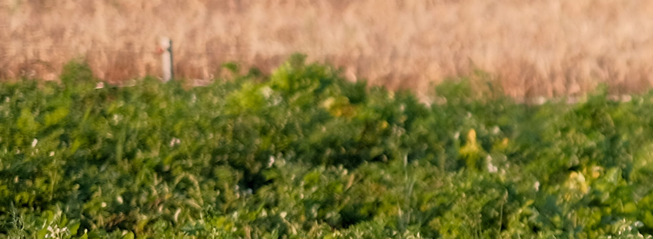 Épandage dans la Somme : une dérogation exceptionnelle accordée face aux intempéries