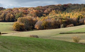 Tensions entre les mondes agricole et forestier dans le Cantal : les chasseurs donnent de la voix