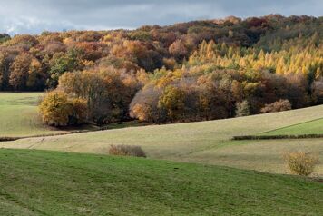 Tensions avec les chasseurs dans le Cantal