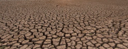 Terre rouge aride