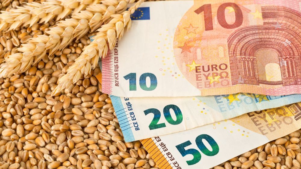 Cours du blé : Explications et tendances des dernières années