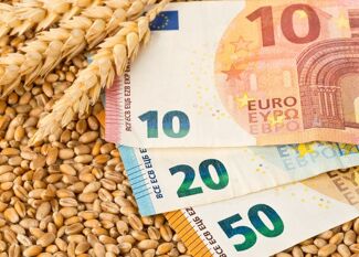 Cours du blé : Explications et tendances des dernières années